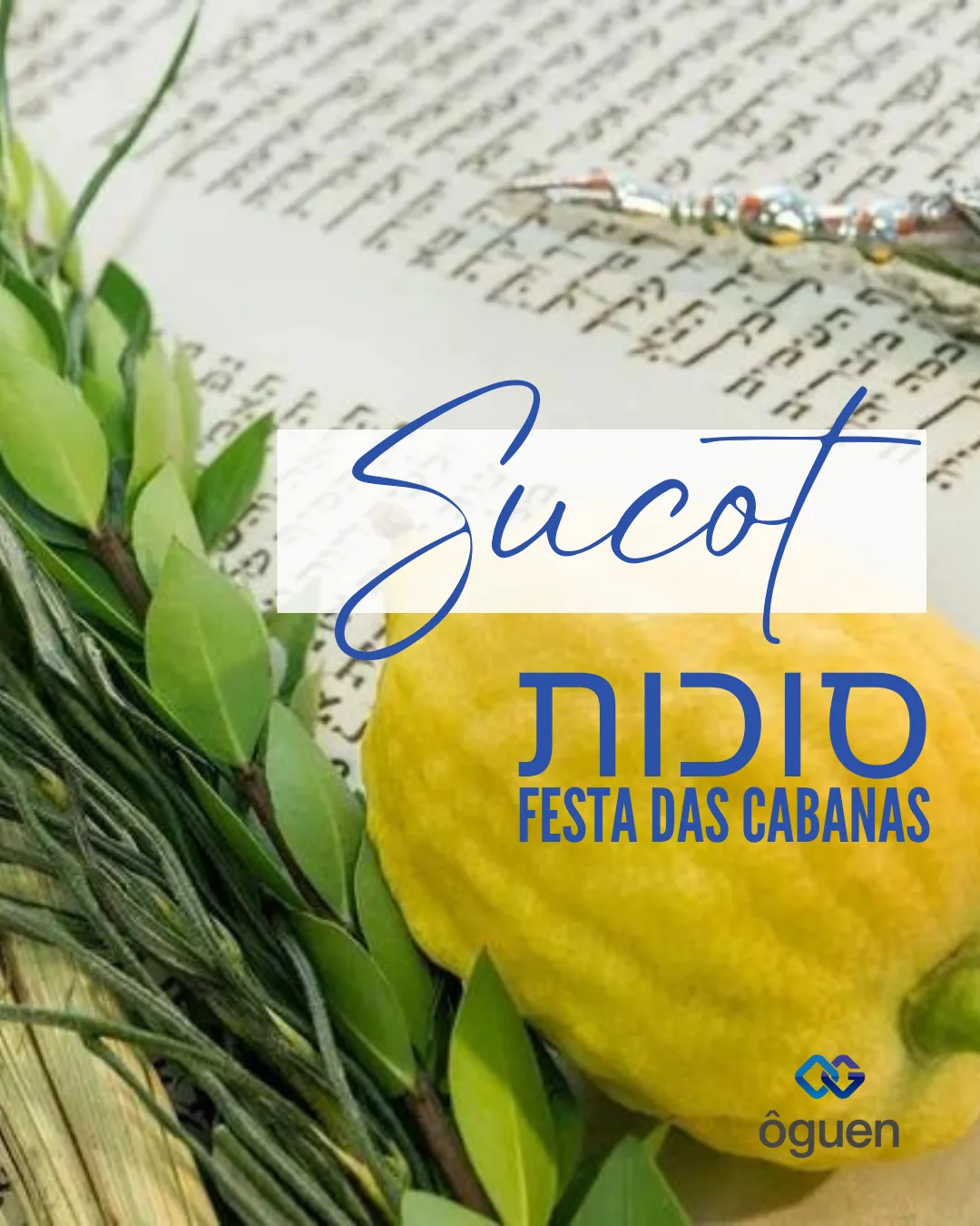Sucot ou a Festa das Cabanas: conheça um pouco sobre esse feriado judaico tão importante para Israel