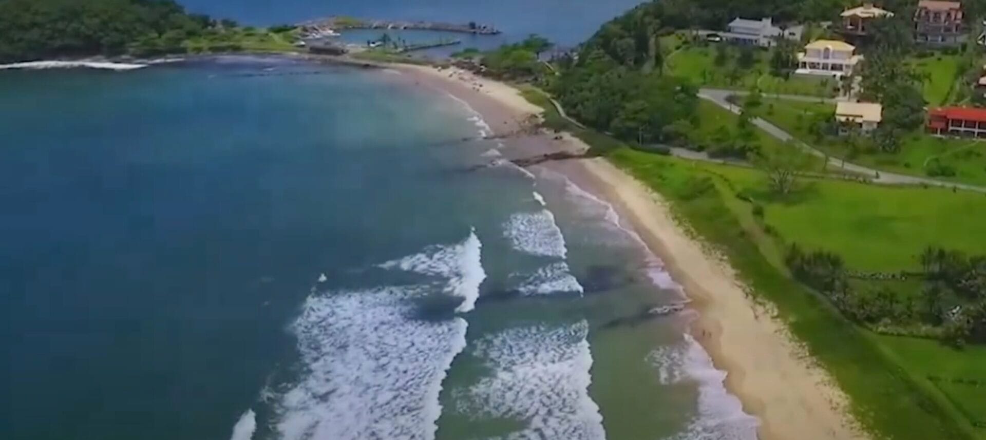 Vista aérea de uma praia com ondas, vegetação e casas próximas à costa.