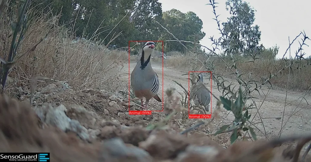 share image 1747109049088 scaled 1 - Ôguen