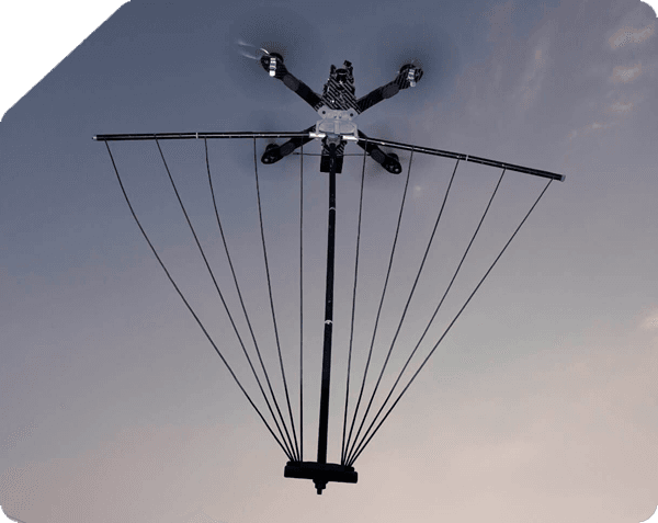 home griffon - Ôguen