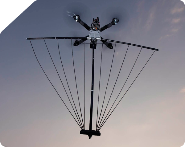 home griffon - Ôguen