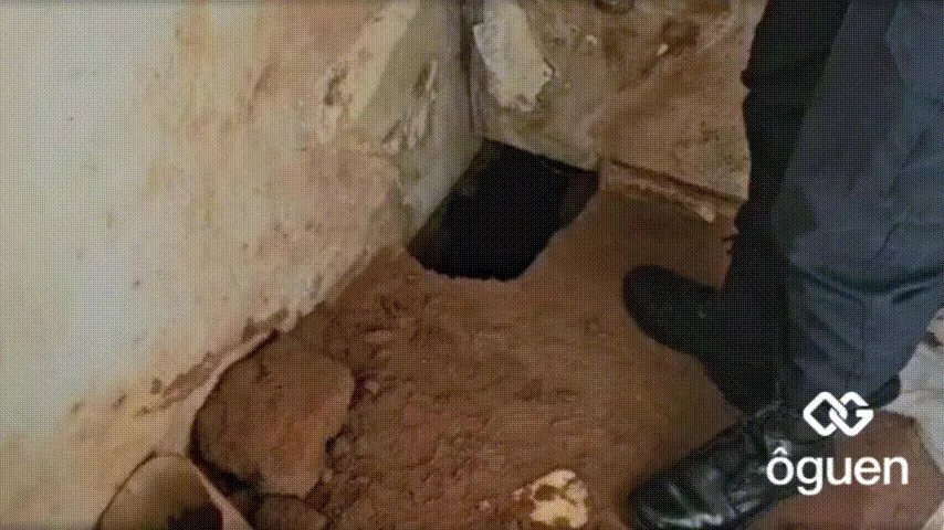 segurança perimetral em presídios - 1